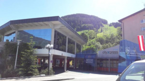 Chalet CityXPress Zell am See, Zell am See, Österreich